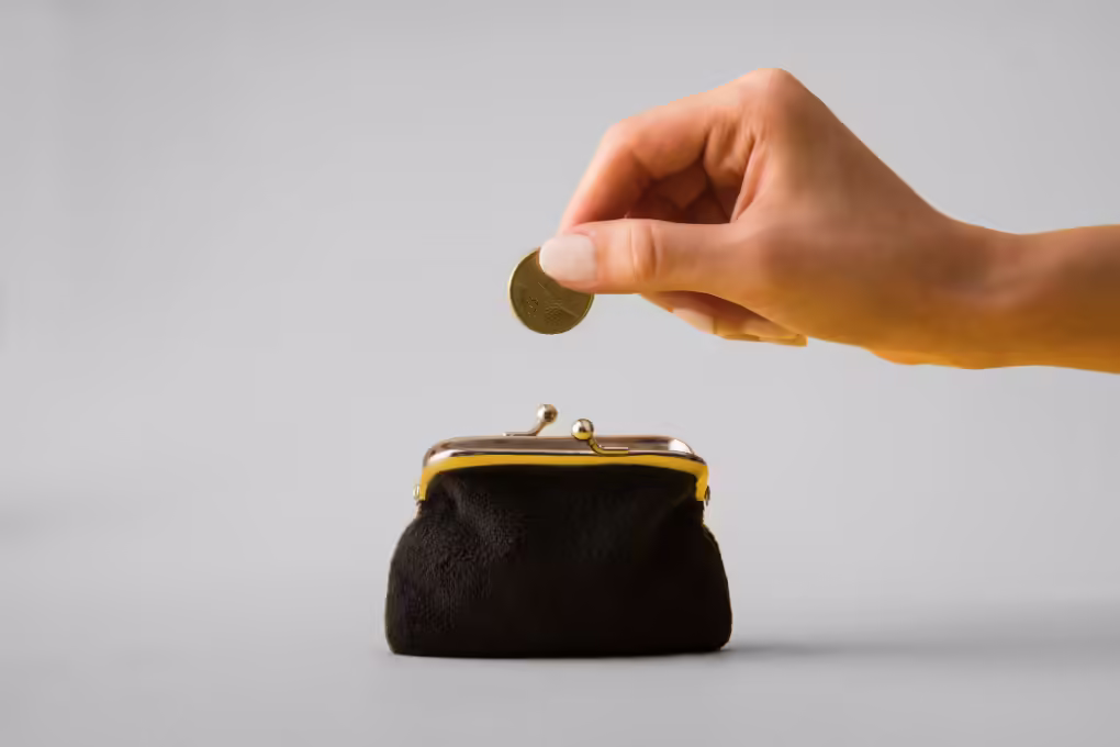 Vous économisez Vous économisez